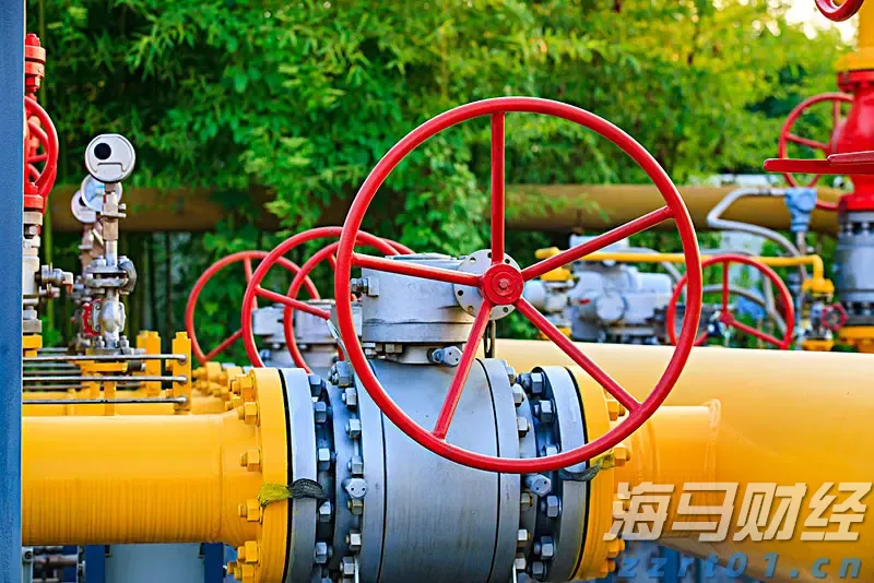 超低功耗AI芯片制造商Ambiq Micro(AMBQ.US)上市首日暴涨61%