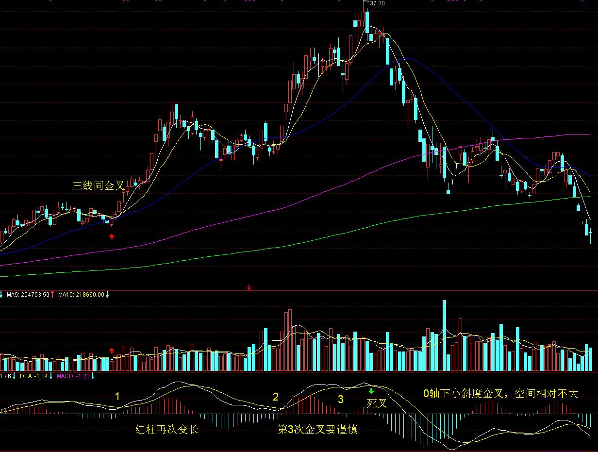 追光而行 正义花开——记全国三八红旗手王秀敏