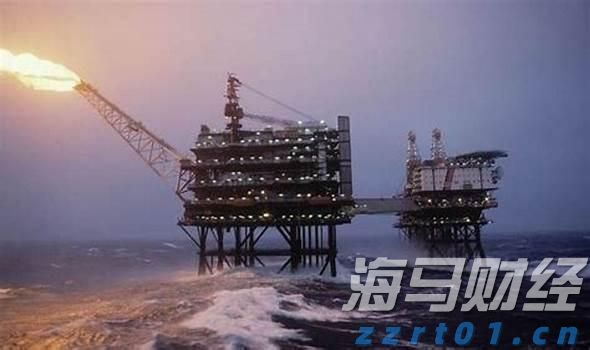 梅州海关供港澳活猪远程检疫监装模式正式启动